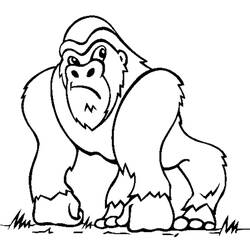 Coloring page: Gorilla (Animals) #7420 - Printable coloring pages