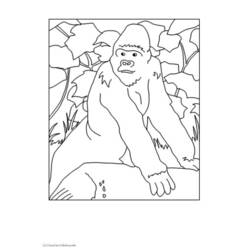 Coloring page: Gorilla (Animals) #7451 - Free Printable Coloring Pages