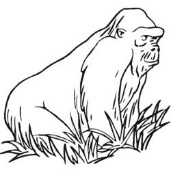 Coloring page: Gorilla (Animals) #7459 - Free Printable Coloring Pages