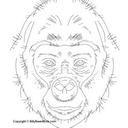 Coloring page: Gorilla (Animals) #7463 - Free Printable Coloring Pages