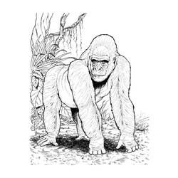 Coloring page: Gorilla (Animals) #7467 - Printable coloring pages