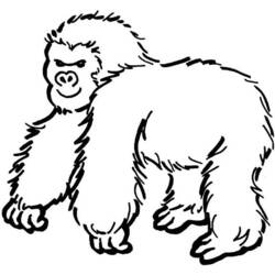 Coloring page: Gorilla (Animals) #7475 - Free Printable Coloring Pages