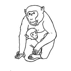 Coloring page: Gorilla (Animals) #7476 - Printable coloring pages