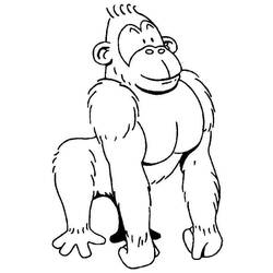 Coloring page: Gorilla (Animals) #7495 - Printable coloring pages