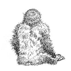 Coloring page: Gorilla (Animals) #7507 - Free Printable Coloring Pages
