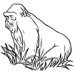 Coloring page: Gorilla (Animals) #7514 - Printable coloring pages