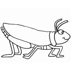 Coloring page: Grasshopper (Animals) #19794 - Printable coloring pages