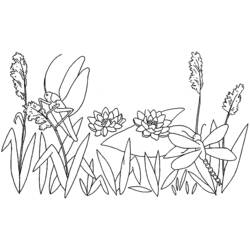 Coloring page: Grasshopper (Animals) #19843 - Printable coloring pages