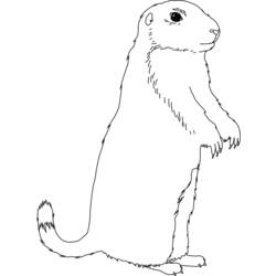 Coloring page: Groundhog (Animals) #10889 - Printable coloring pages