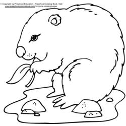 Coloring page: Groundhog (Animals) #10899 - Free Printable Coloring Pages