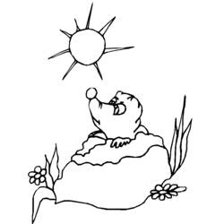 Coloring page: Groundhog (Animals) #10904 - Free Printable Coloring Pages