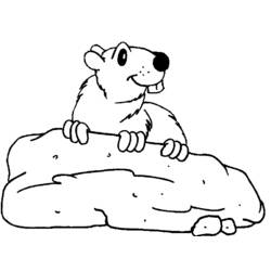 Coloring page: Groundhog (Animals) #10936 - Free Printable Coloring Pages