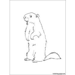 Coloring page: Groundhog (Animals) #10953 - Printable coloring pages
