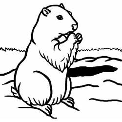 Coloring pages: Groundhog - Free Printable Coloring Pages