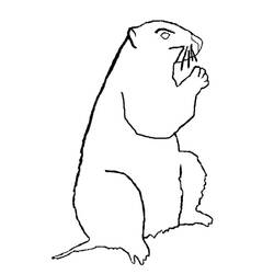 Coloring page: Groundhog (Animals) #10960 - Printable coloring pages