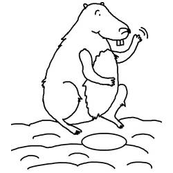 Coloring page: Groundhog (Animals) #10968 - Free Printable Coloring Pages