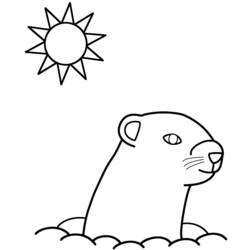 Coloring page: Groundhog (Animals) #10997 - Printable coloring pages