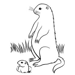 Coloring page: Groundhog (Animals) #10999 - Printable coloring pages