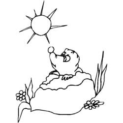 Coloring page: Groundhog (Animals) #11034 - Free Printable Coloring Pages