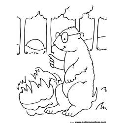 Coloring page: Groundhog (Animals) #11057 - Free Printable Coloring Pages