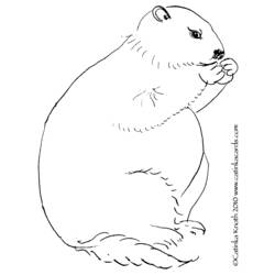 Coloring page: Groundhog (Animals) #11073 - Printable coloring pages