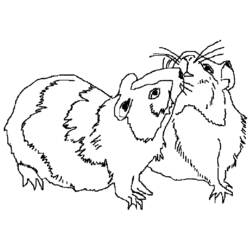 Coloring page: Guinea Pig (Animals) #18500 - Printable coloring pages