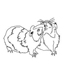Coloring page: Guinea Pig (Animals) #18547 - Printable coloring pages