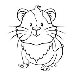 Guinea Pig (Animals) coloring page #211118 to print and color