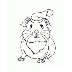 Guinea Pig (Animals) coloring page #211120 to print and color