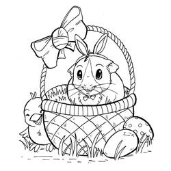 Guinea Pig (Animals) coloring page #211121 to print and color