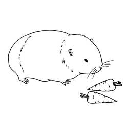 Guinea Pig (Animals) coloring page #211122 to print and color