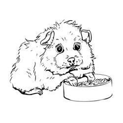 Guinea Pig (Animals) coloring page #211126 to print and color