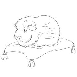 Guinea Pig (Animals) coloring page #211134 to print and color