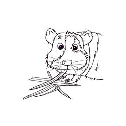 Guinea Pig (Animals) coloring page #211143 to print and color