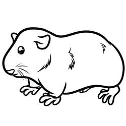 Guinea Pig (Animals) coloring page #211149 to print and color