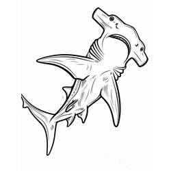 Hammerhead shark (Animals) coloring page #220992 to print and color