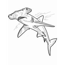 Coloring pages: Hammerhead shark - Free Printable Coloring Pages