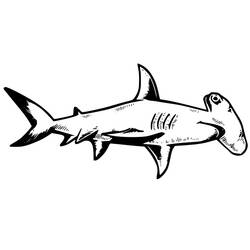 Hammerhead shark (Animals) coloring page #220996 to print and color