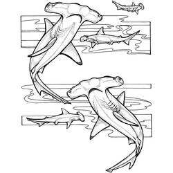 Hammerhead shark (Animals) coloring page #220997 to print and color