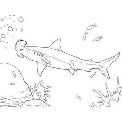Hammerhead shark (Animals) coloring page #221012 to print and color