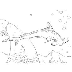 Hammerhead shark (Animals) coloring page #221013 to print and color