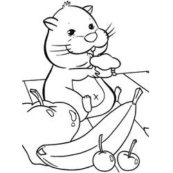 Hamster (Animals) coloring page #188810 to print and color