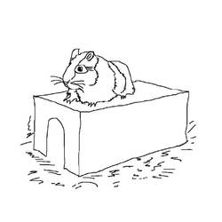 Hamster (Animals) coloring page #188839 to print and color