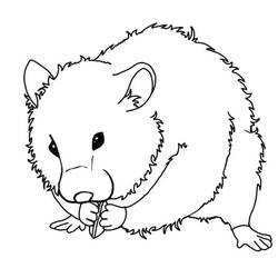 Hamster (Animals) coloring page #188852 to print and color