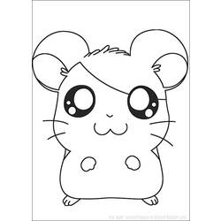Coloring page: Hamster (Animals) #8020 - Printable coloring pages