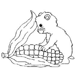 Coloring page: Hamster (Animals) #8021 - Free Printable Coloring Pages