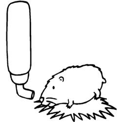 Coloring page: Hamster (Animals) #8049 - Free Printable Coloring Pages
