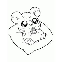 Coloring page: Hamster (Animals) #8055 - Printable coloring pages
