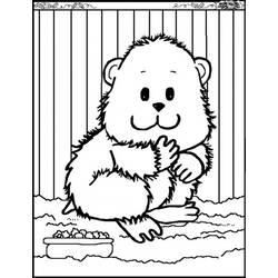 Coloring page: Hamster (Animals) #8059 - Free Printable Coloring Pages