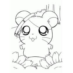 Coloring page: Hamster (Animals) #8071 - Printable coloring pages